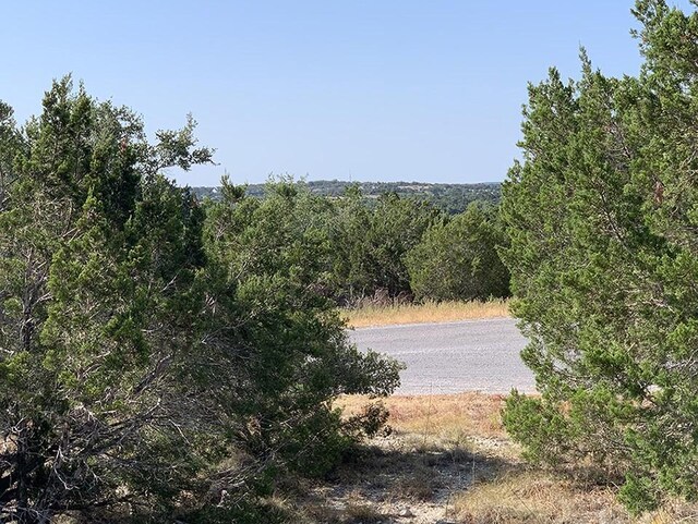 0 Westward Look, Dripping Springs, TX 78620 - photo 3
