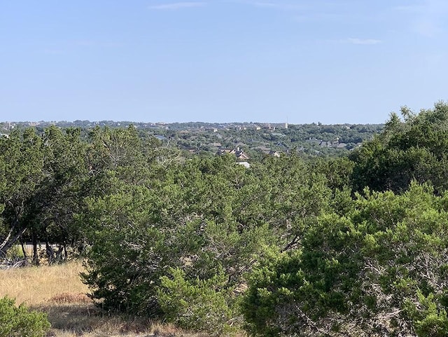 0 Westward Look, Dripping Springs, TX 78620 - photo 4