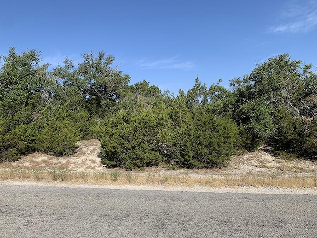 0 Westward Look, Dripping Springs, TX 78620 - photo 8