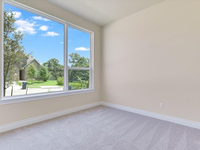 spare room with baseboards and carpet flooring