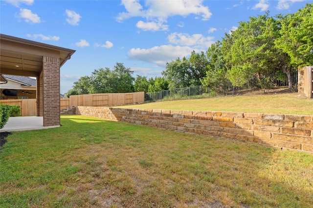 view of yard with a patio