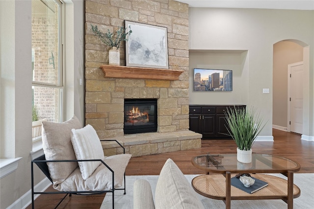 living room with a fireplace and hardwood / wood-style floors