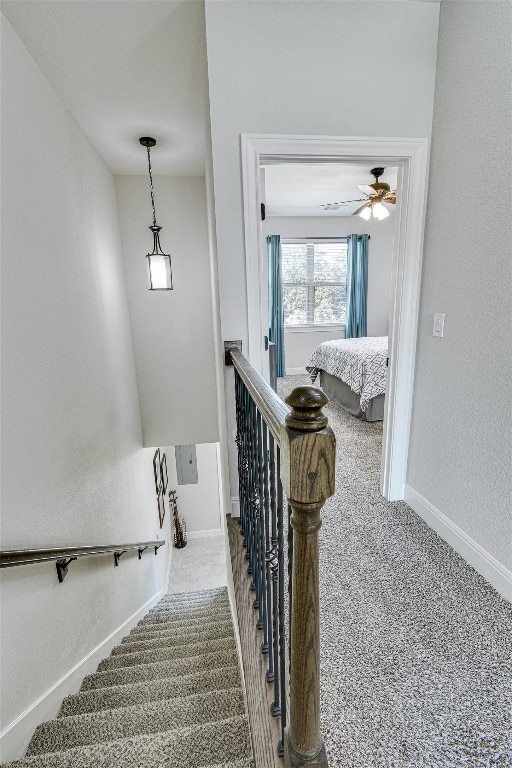 stairway with carpet and ceiling fan