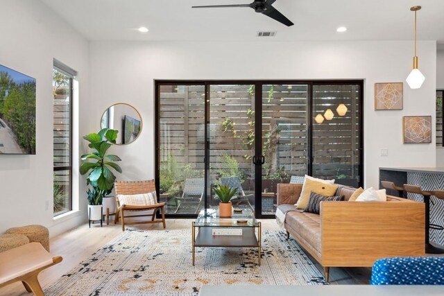 living room with ceiling fan and wood-type flooring