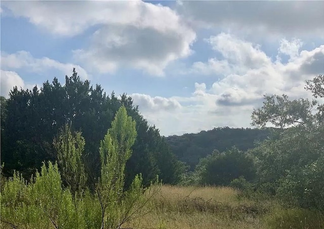 146 Longwood Dr, New Braunfels, TX 78132 - photo 2