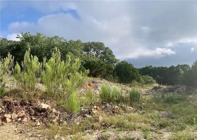146 Longwood Dr, New Braunfels, TX 78132 - photo 3