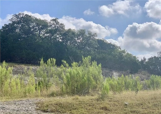146 Longwood Dr, New Braunfels, TX 78132 - photo 6
