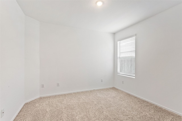 unfurnished room featuring carpet