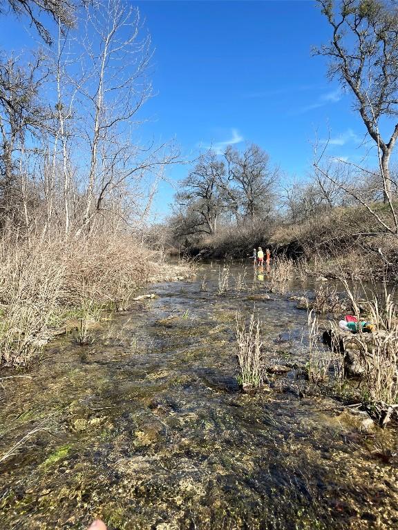 5.48 W Fm 150, Driftwood, TX 78619 - photo 8