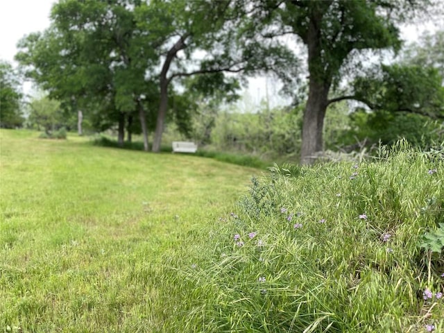 5.48 W Fm 150, Driftwood, TX 78619 - photo 9