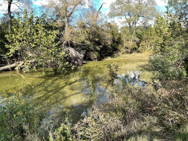 5.48 W Fm 150, Driftwood, TX 78619 - photo 21