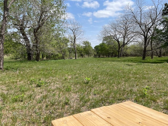 5.48 W Fm 150, Driftwood, TX 78619 - photo 30