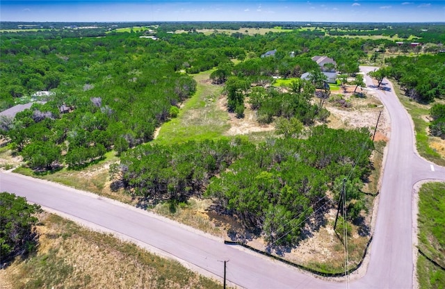 193 Garner Ranch Rd, Bertram, TX 78605 - photo 3