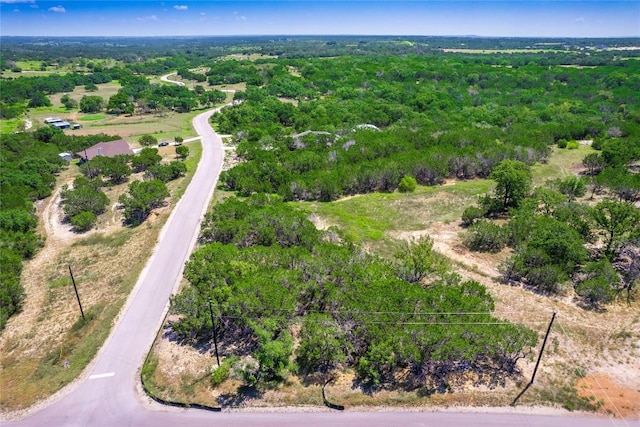 193 Garner Ranch Rd, Bertram, TX 78605 - photo 4