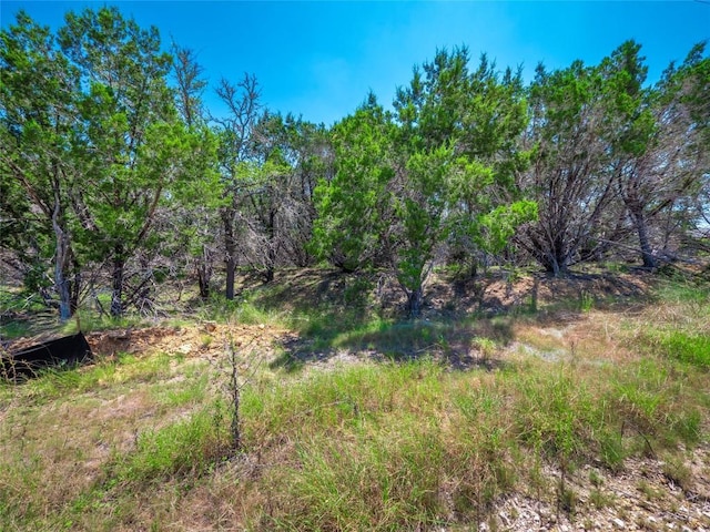 193 Garner Ranch Rd, Bertram, TX 78605 - photo 6
