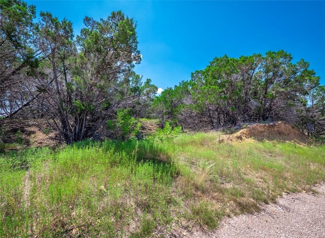 193 Garner Ranch Rd, Bertram, TX 78605 - photo 7