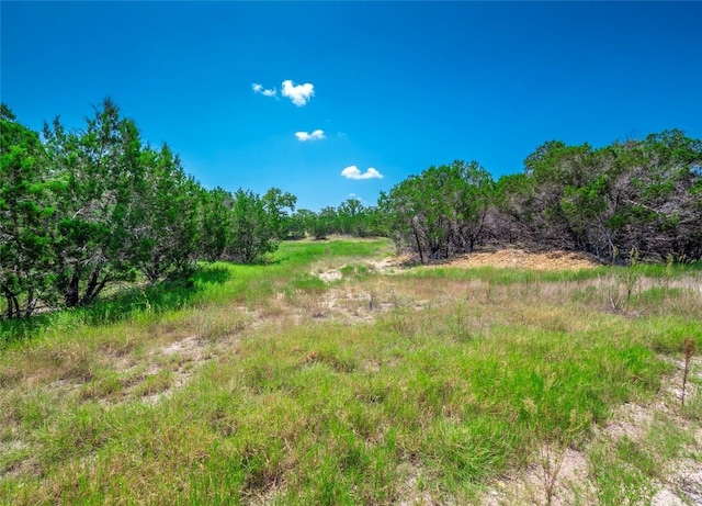 193 Garner Ranch Rd, Bertram, TX 78605 - photo 8