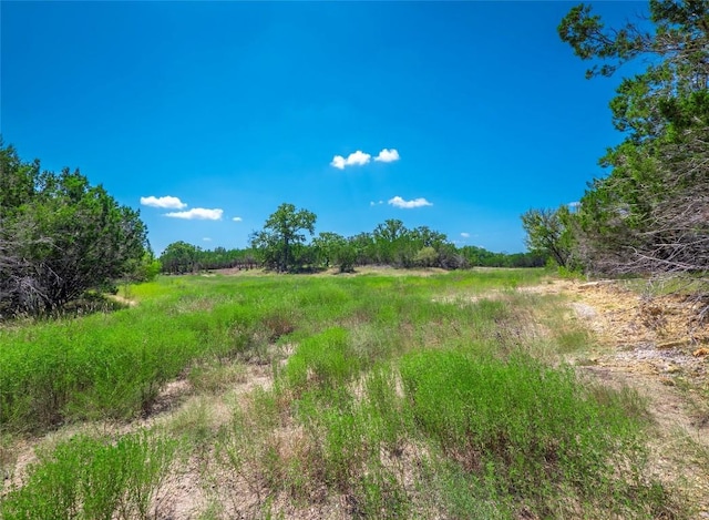 193 Garner Ranch Rd, Bertram, TX 78605 - photo 9