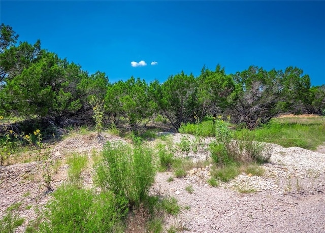 193 Garner Ranch Rd, Bertram, TX 78605 - photo 10
