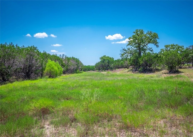 193 Garner Ranch Rd, Bertram, TX 78605 - photo 11