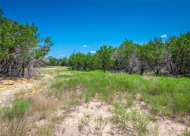 193 Garner Ranch Rd, Bertram, TX 78605 - photo 12