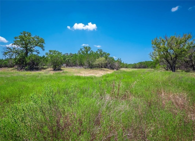 193 Garner Ranch Rd, Bertram, TX 78605 - photo 13