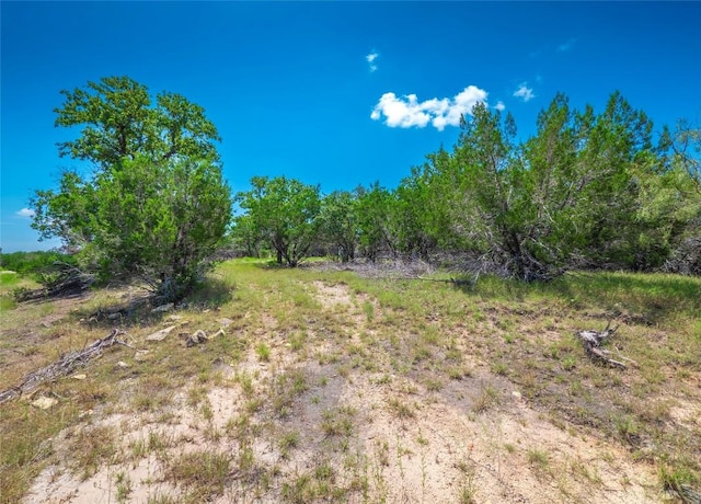 193 Garner Ranch Rd, Bertram, TX 78605 - photo 15