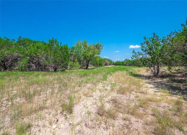 193 Garner Ranch Rd, Bertram, TX 78605 - photo 16