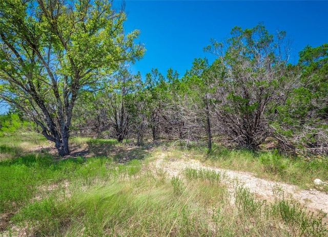 193 Garner Ranch Rd, Bertram, TX 78605 - photo 17