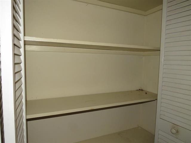 105 E Fawn Dr, Buchanan Dam, TX 78609 - view of closet