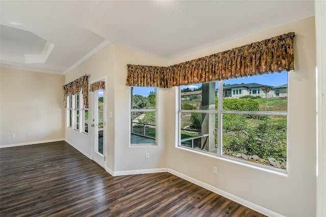 spare room with wood-type flooring, ornamental molding, and a healthy amount of sunlight