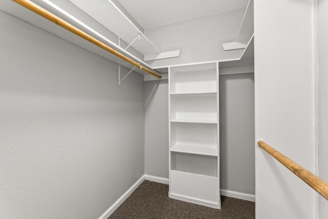 walk in closet with carpet floors