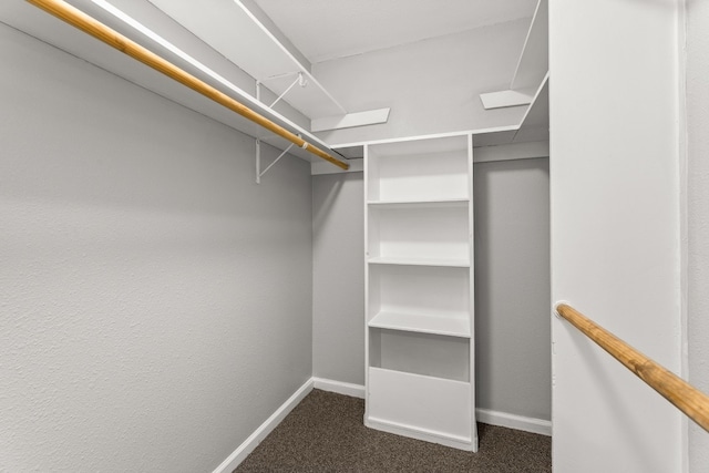 spacious closet with dark carpet