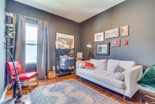 living room featuring wood-type flooring