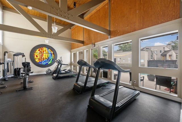 exercise room featuring high vaulted ceiling