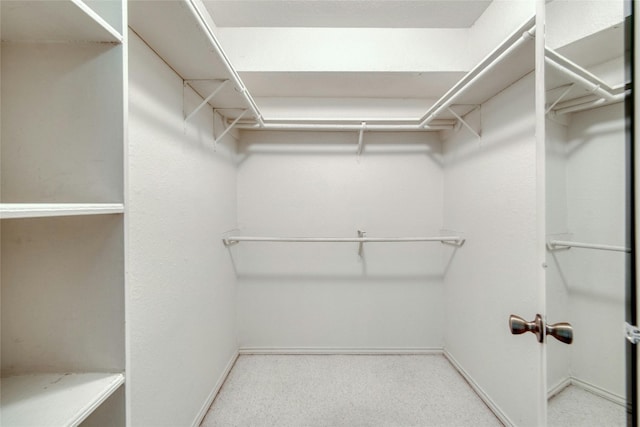 walk in closet featuring light carpet