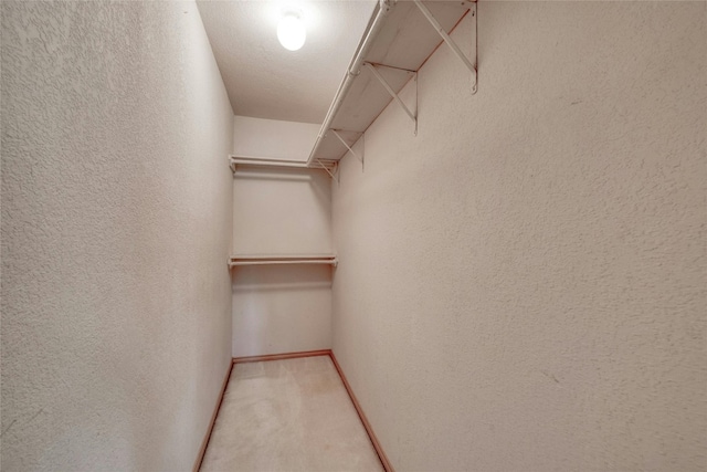 spacious closet featuring carpet flooring