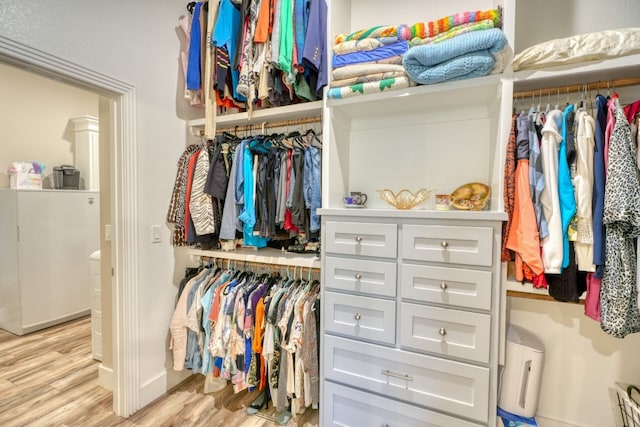 spacious closet featuring light wood finished floors