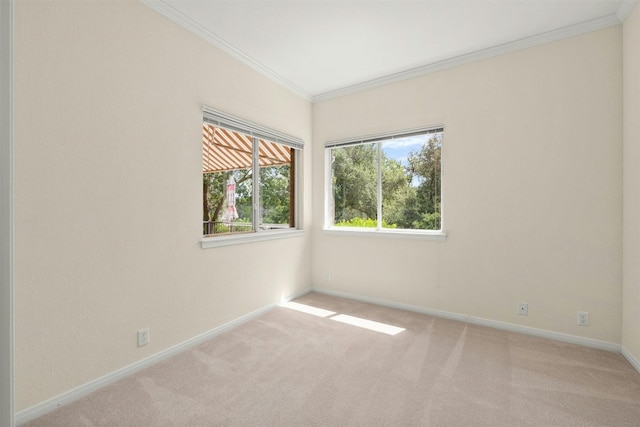 spare room featuring light carpet and ornamental molding