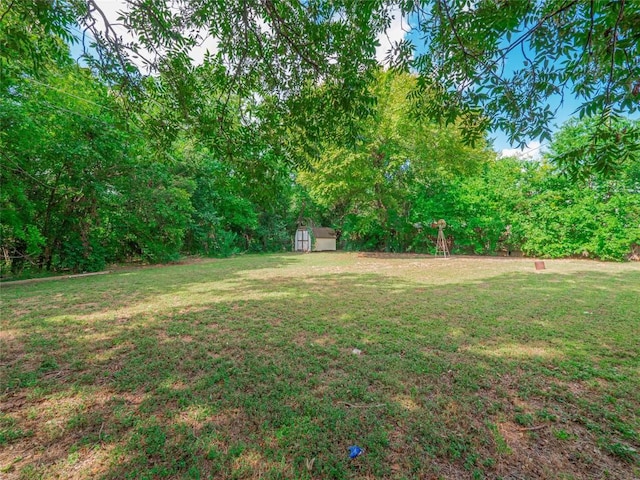 view of yard featuring a storage shed