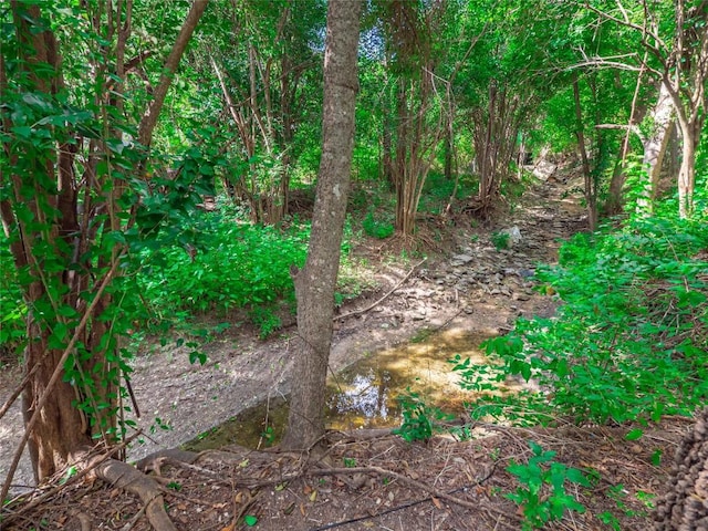403AND401 Ramble Ln, Austin, TX 78745 - view of nature
