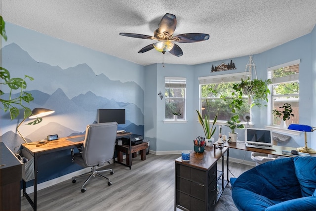 office featuring ceiling fan, light wood-type flooring, and a textured ceiling