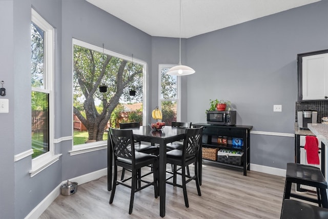 dining room with light hardwood / wood-style floors and a healthy amount of sunlight