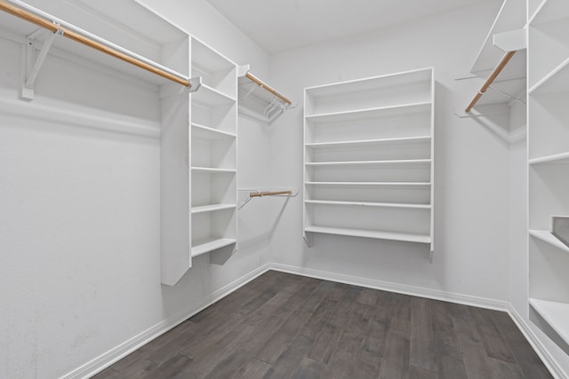 spacious closet featuring dark hardwood / wood-style floors