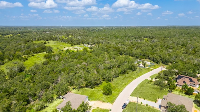 Listing photo 3 for 204 Brentwood Dr, Cedar Creek TX 78612