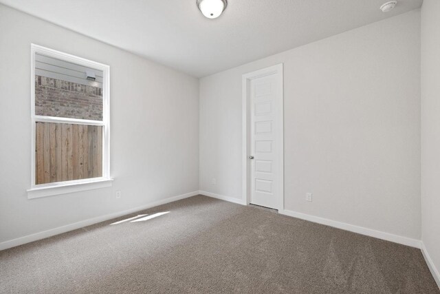 528 Palatino Bnd, Liberty Hill, TX 78642 - photo 19