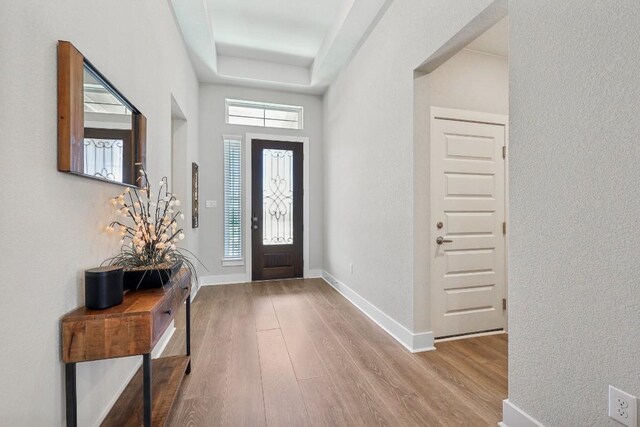 entryway featuring wood-type flooring and a tray ceiling