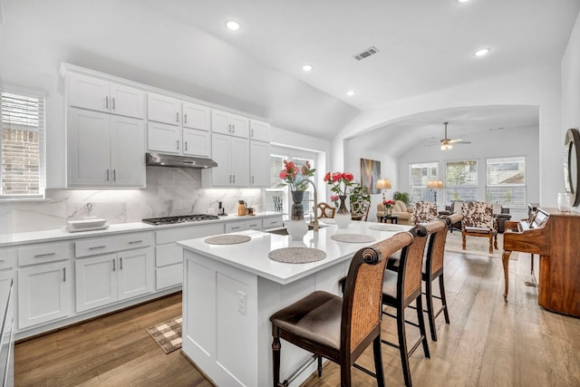 kitchen with white cabinetry, tasteful backsplash, an island with sink, light wood-type flooring, and vaulted ceiling