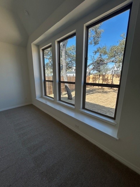 additional living space featuring carpet, baseboards, and vaulted ceiling