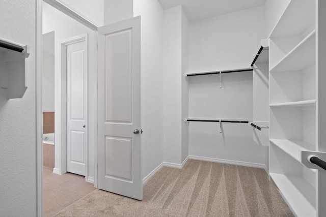 520 Raleigh Dr, Georgetown, TX 78633 - spacious closet with carpet flooring
